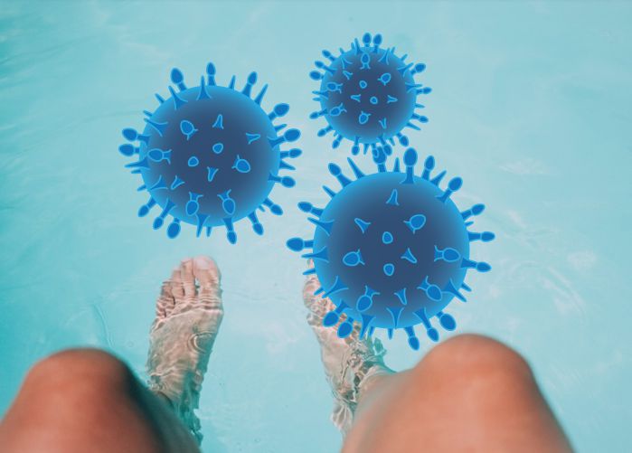 Quins microbis hi ha a les piscines?